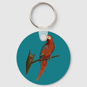 Llavero Loro rojo ara