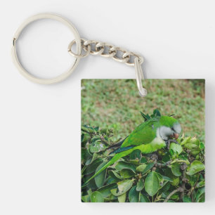 Llavero Loro verde