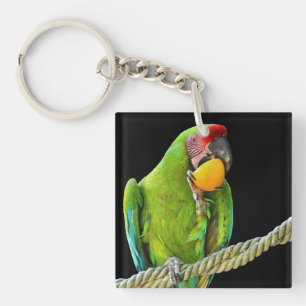 Llavero Loro Verde Ara Militaris