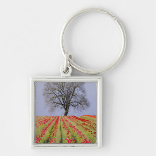 Llavero Los campos del tulipán y un roble solitario