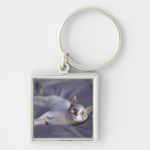 Llavero Los E.E.U.U., Iowa, retrato del gatito joven 2
