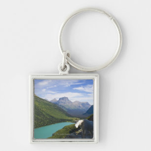 Llavero Los E.E.U.U., Montana, Parque Nacional Glacier,