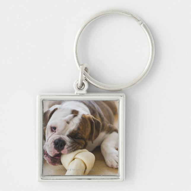 Llavero Los E.E.U.U., New Jersey, Jersey City, perrito (Frente)