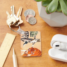 Los gatos van a jugar