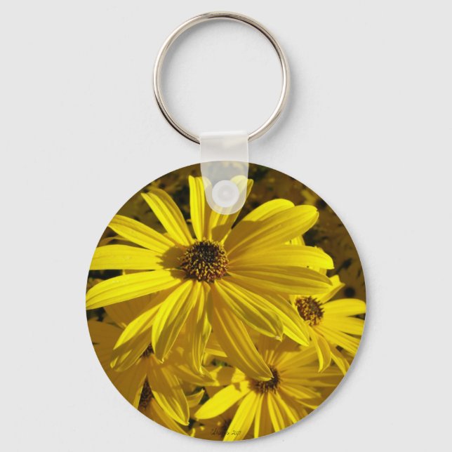Llavero Los girasoles en el zoológico (Anverso)