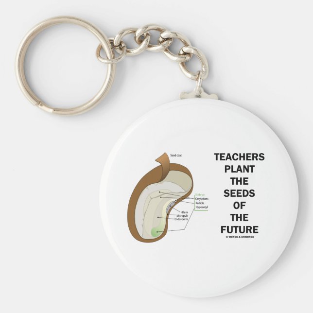 Llavero Los Maestros Plantan Las Semillas Del Futuro (Semi (Frente)