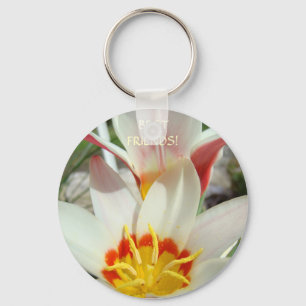 Llavero ¡Los mejores amigos de KEYCHAIN! Cañones de teclas