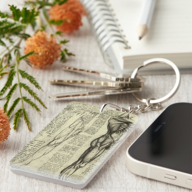 Llavero Los músculos masculinos de la anatomía humana de L (Frente Derecha)