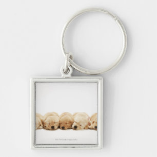 Llavero Los perritos del golden retriever