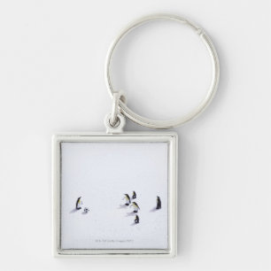 Llavero Los pingüinos que juegan a fútbol