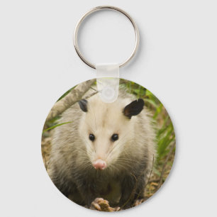 Llavero Los posumos son Bonito - Opossum Didelphimorphia