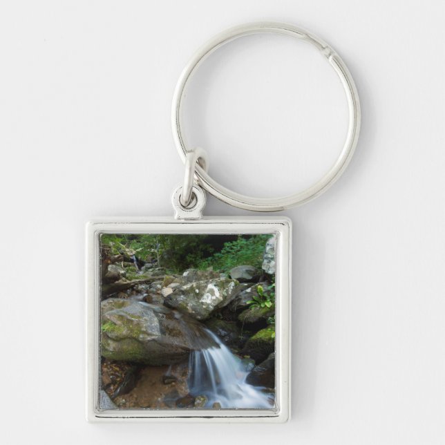 Llavero Lower Dark Hollow Falls, Shenandoah (Frente)