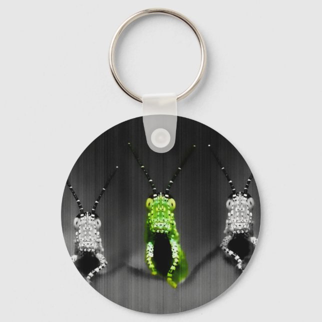 Llavero Lumpy Green Bug (Anverso)