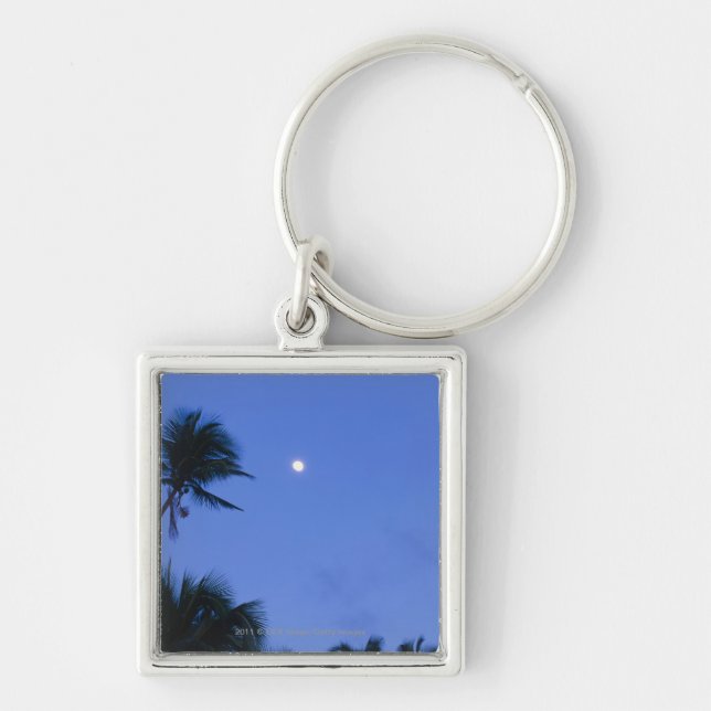 Llavero Luna brillantemente encendida, silueta de los (Frente)