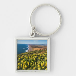 Llavero Lupino Amarillo Sobre la Playa Point Reyes En Poin