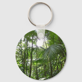 Llavero Luz solar a través de la selva tropical con cubier