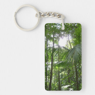 Llavero Luz solar a través de la selva tropical con cubier