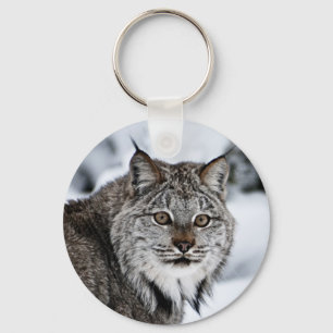 Llavero Lynx canadiense en la nieve
