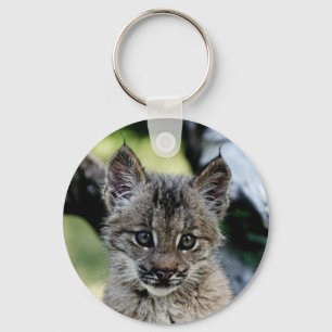 Llavero Lynx Kitten canadiense