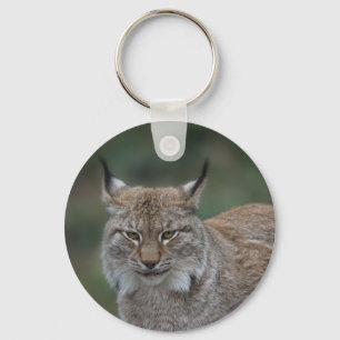 Llavero Lynx Mirándote Clásico