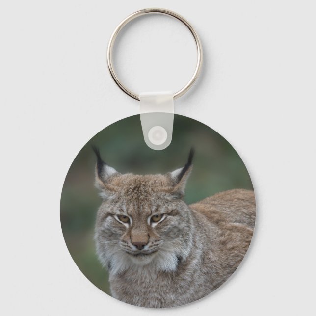 Llavero Lynx Mirándote Clásico (Anverso)