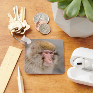 Llavero Macaco Japonés, Momento Silencioso de Vida Silvest