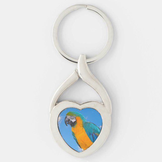 Llavero Macao azul y amarillo (Anverso)