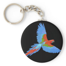 Macao volador azul y rojo