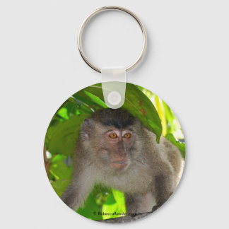 Llavero Macaque Monkey en la cadena de claves del bosque l