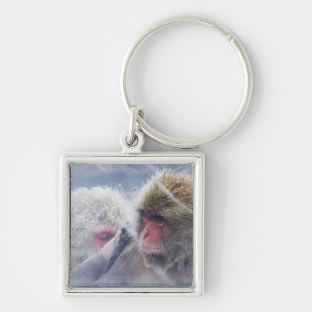 Llavero Macaques japoneses (fuscata del Macaca) que (Frente)