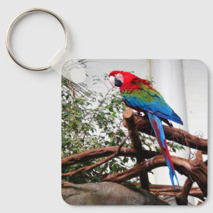 Llavero Macaw de ala verde #3 Keychain