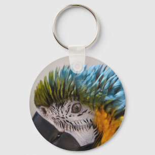 Llavero Macaw Parrot - Keychain