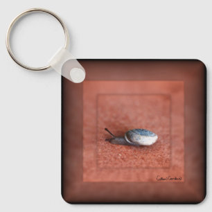 Llavero Macrofotografía del caracol en Terracota