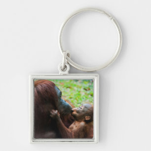 Llavero Madre de Orangutan con bebé