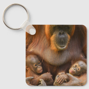 Llavero Madre de Orangutan sosteniendo dos bebés