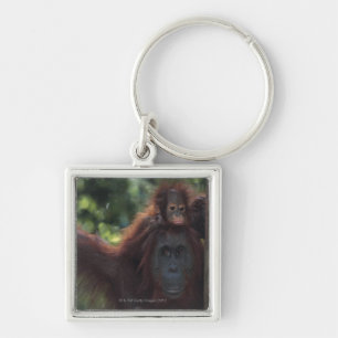 Llavero Madre del orangután con el bebé