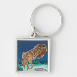 Llavero MaineCuttlefish Scene