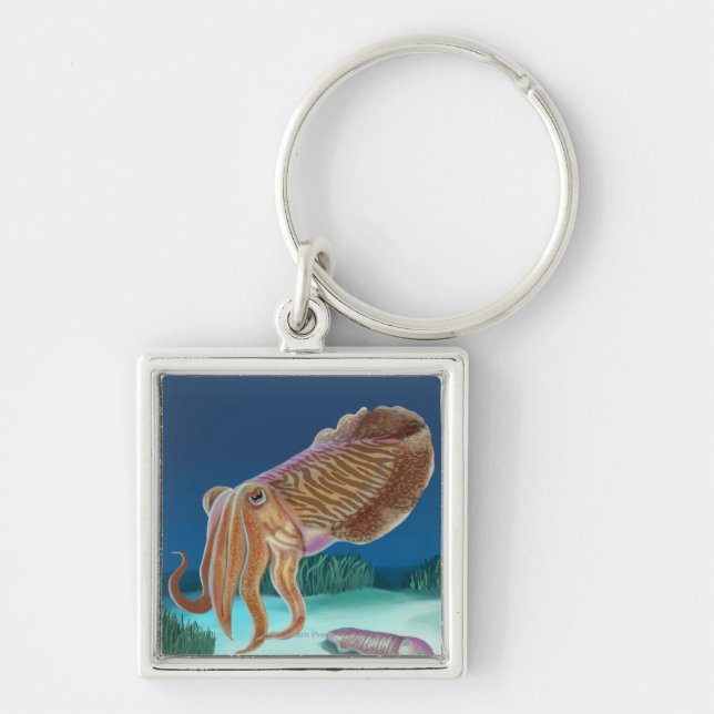 Llavero MaineCuttlefish Scene (Frente)