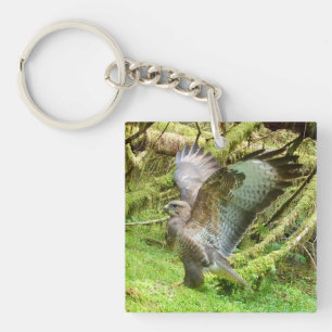 Llavero Majestuoso Alas de Ratonero Estiramiento Bosque Av