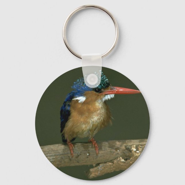 Llavero Malachite Kingfisher (Anverso)