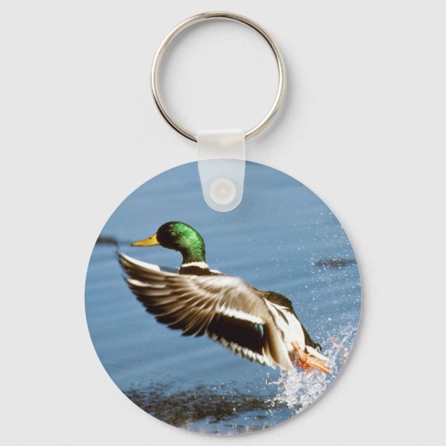 Llavero Mallard Drake Duck (Anverso)