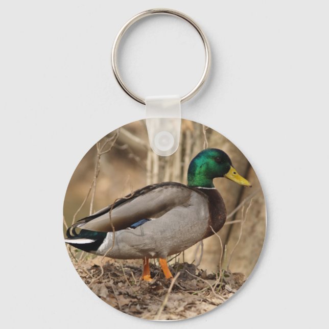 Llavero MALLARD DUCK Keychain (Anverso)