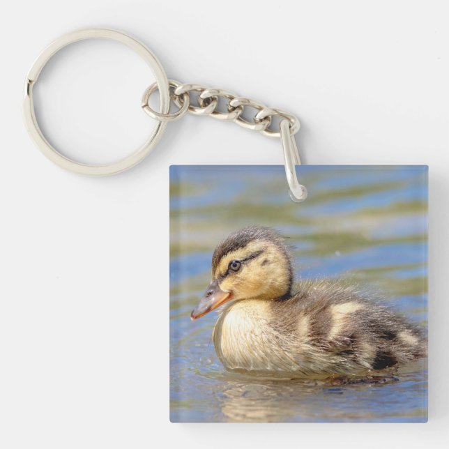 Llavero Mallard Duckling (Frente)