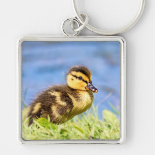 Llavero Mallard Duckling