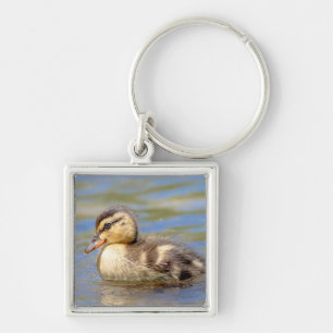 Llavero Mallard Duckling