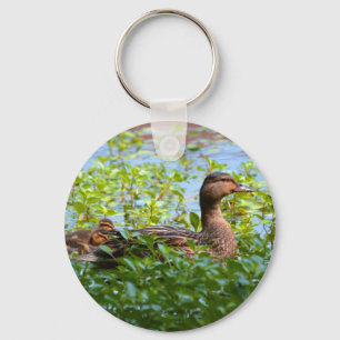 Llavero Mallard y Ducklings-Natación por Shirley Taylor