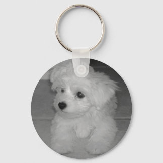 Llavero Maltipoo Keychain
