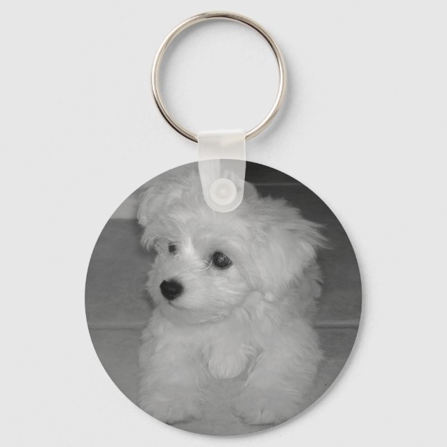 Llavero Maltipoo Keychain (Anverso)
