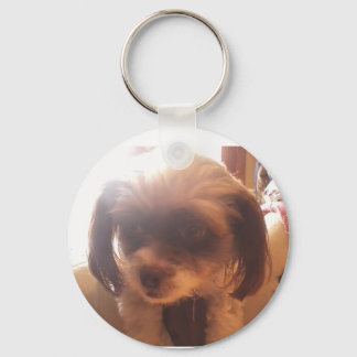Llavero Maltipoo Keychain