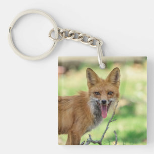 Llavero Mama Fox en el Valle de Hudson